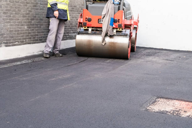 Driveway Pressure Washing in Jackson, LA